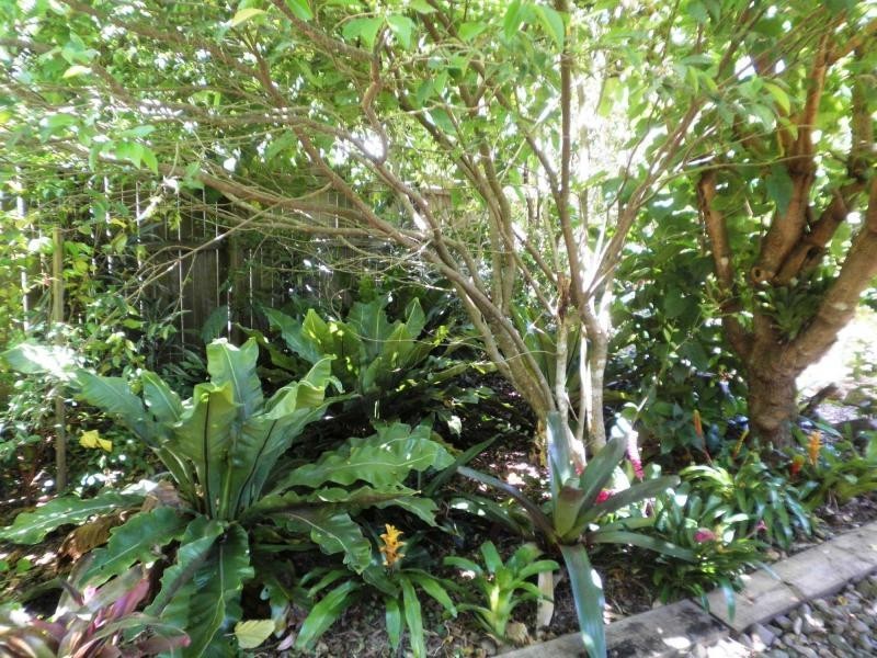 8 Tamarin Drive, Mapleton QLD 4560