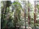 Mapleton QLD 4560