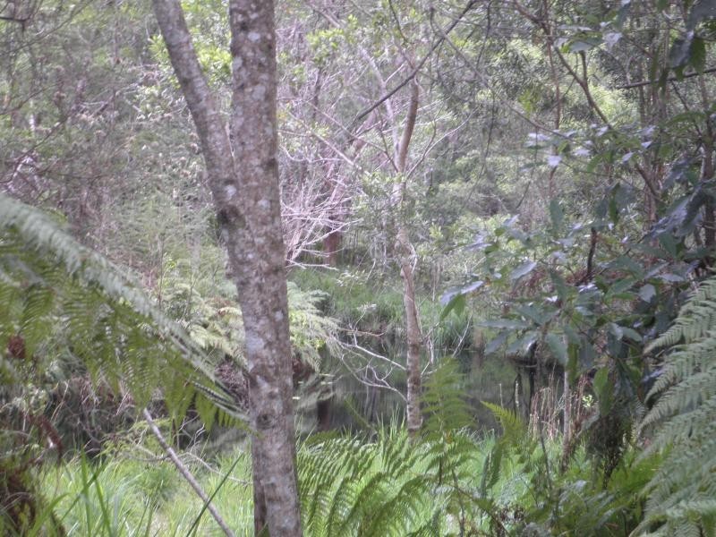 2 Meadowood Rise, Mapleton QLD 4560