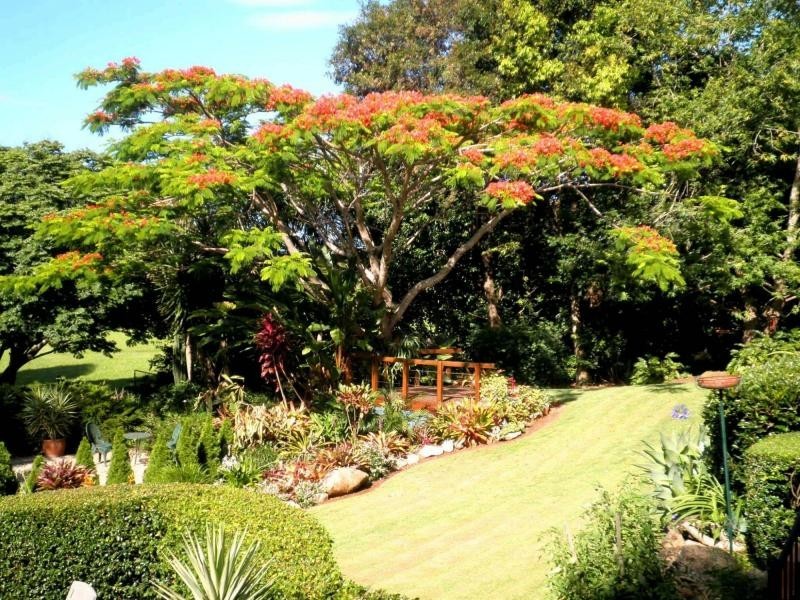 37 Western Avenue, Montville QLD 4560