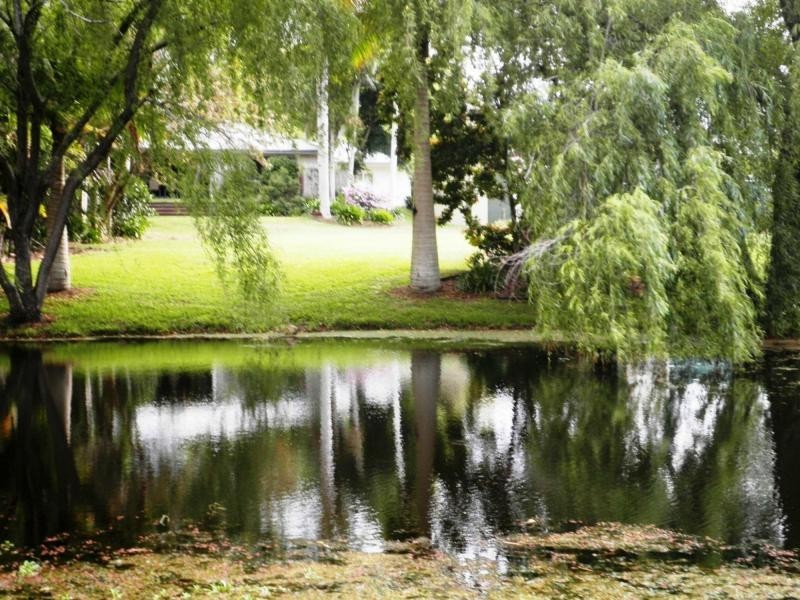 22 Murray Grey Drive, Kureelpa QLD 4560