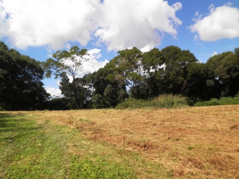 226 Balmoral Road, Montville QLD 4560