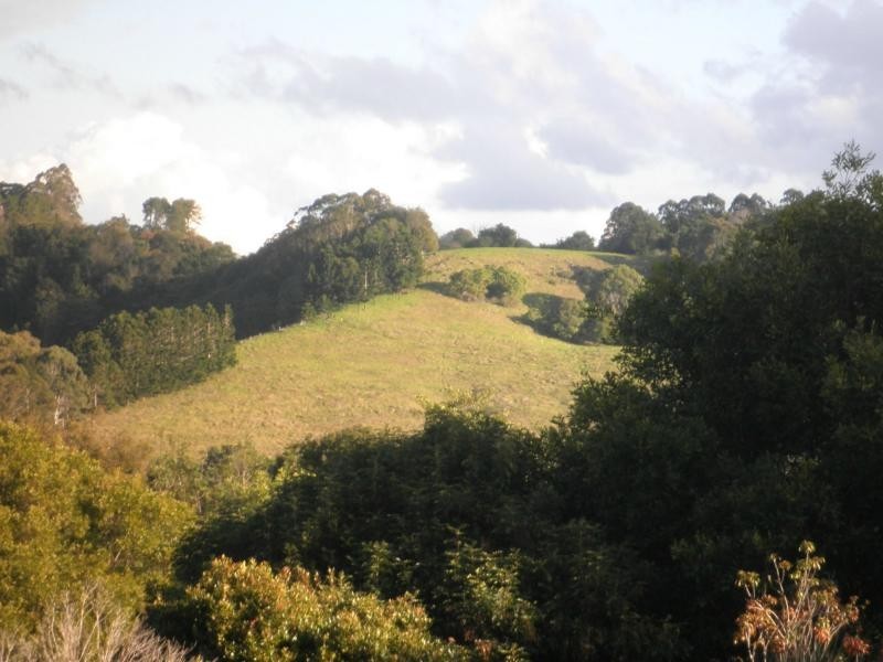 24 Cynthia Hunt Drive, Flaxton QLD 4560