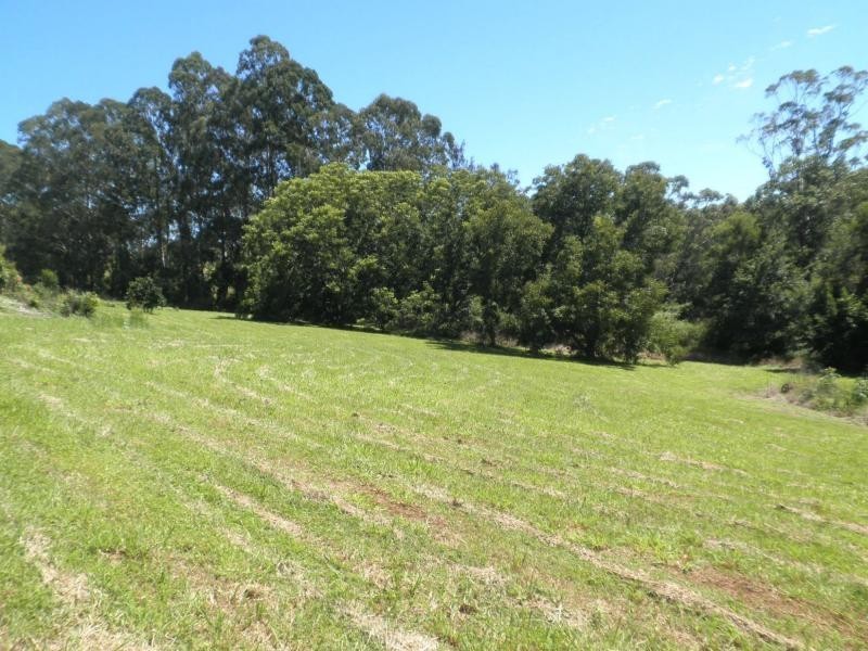 42 Johnson Road, Mapleton QLD 4560