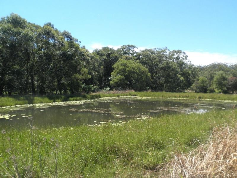 42 Johnson Road, Mapleton QLD 4560