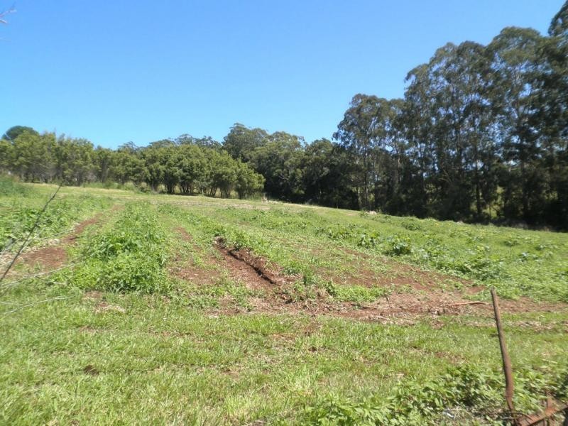 42 Johnson Road, Mapleton QLD 4560
