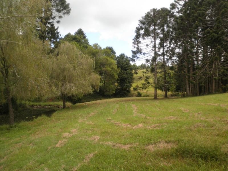174 Philipps Road, Dulong QLD 4560