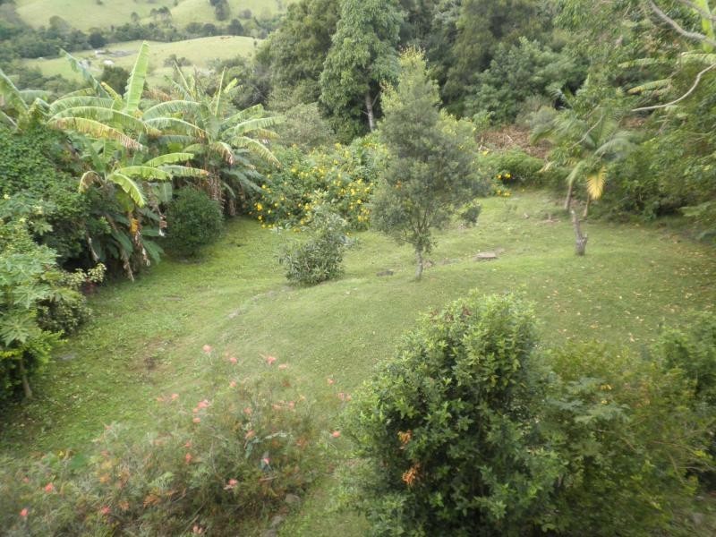 9 Juniper Court, Mapleton QLD 4560