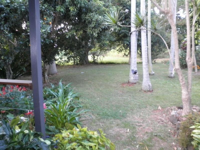 77 Flaxton Drive, Mapleton QLD 4560