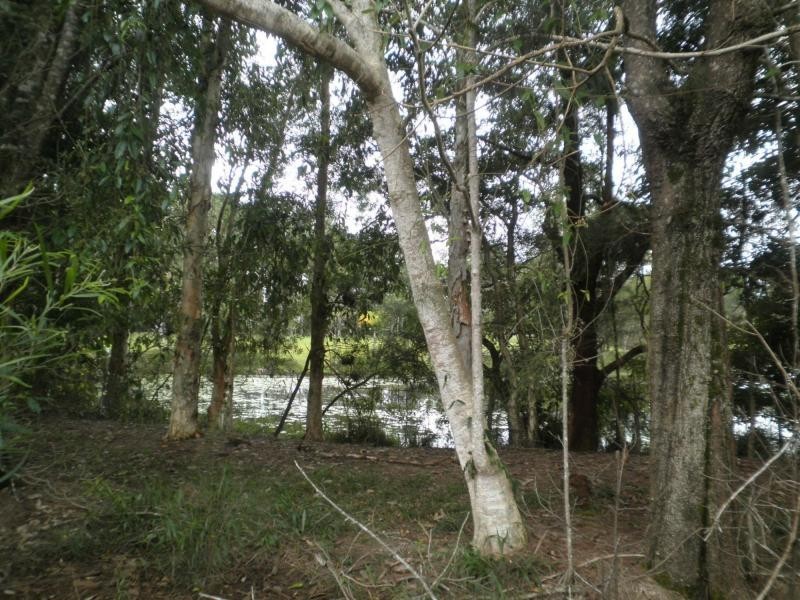 3 Karri Court, Mapleton QLD 4560