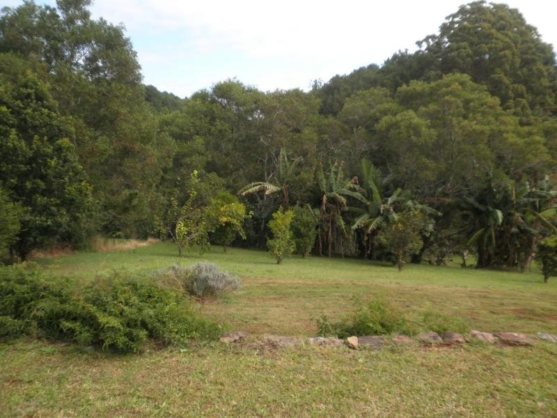 8 Hoffman Close, Montville QLD 4560