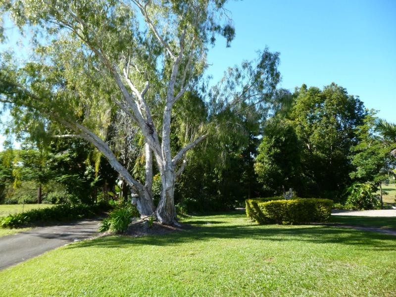 589 Nambour Mapleton Road, Kureelpa QLD 4560