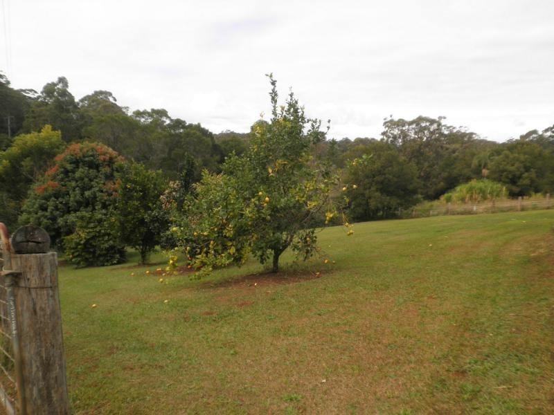 211 Delicia Road, Mapleton QLD 4560