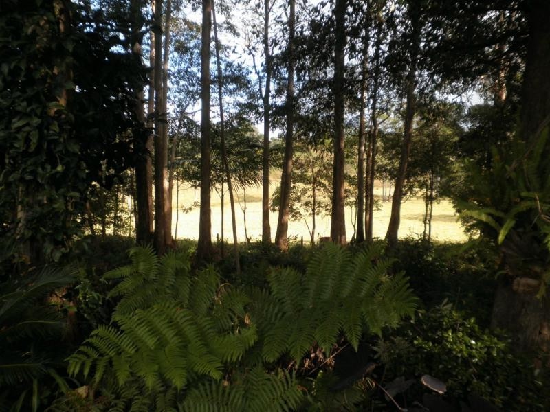 47 McLeod Road, Mapleton QLD 4560