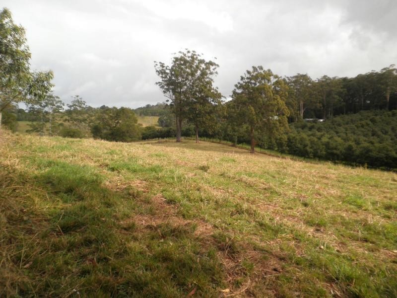 47 McLeod Road, Mapleton QLD 4560