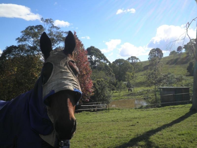 192 Dulong Road, Dulong QLD 4560