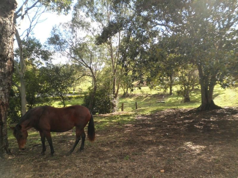 192 Dulong Road, Dulong QLD 4560