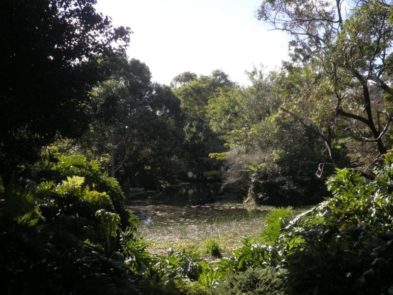 26 Brigadoon Court, Flaxton QLD 4560