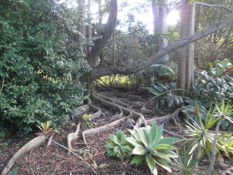 26 Brigadoon Court, Flaxton QLD 4560