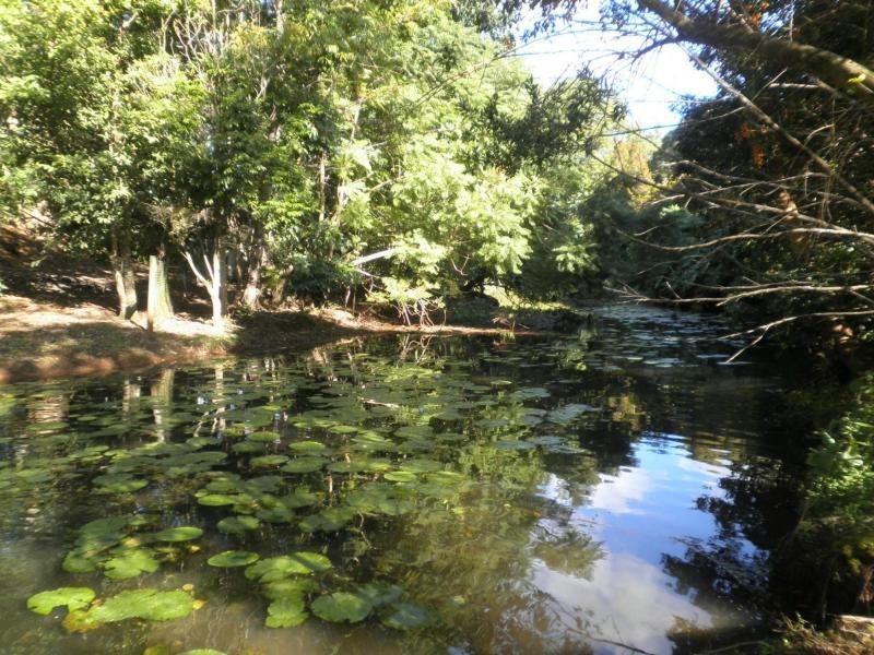 26 Brigadoon Court, Flaxton QLD 4560