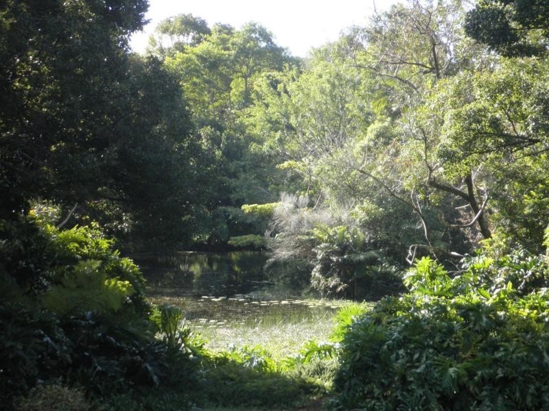 26 Brigadoon Court, Flaxton QLD 4560