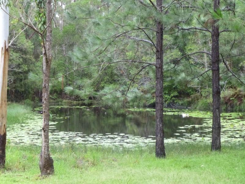 144 Delicia Road, Mapleton QLD 4560