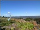 587 Delicia Road, Obi Obi QLD 4574