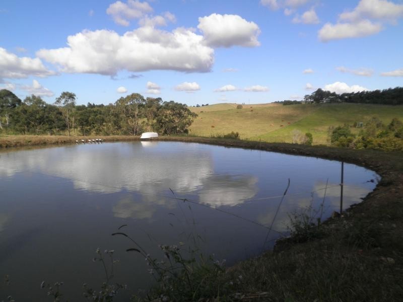 25 Angus Crescent, Kureelpa QLD 4560