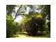 11 Mapleton Falls Road, Mapleton QLD 4560