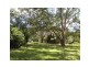 11 Mapleton Falls Road, Mapleton QLD 4560