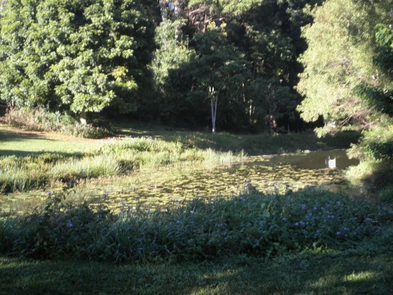 28 Billabong Place, Mapleton QLD 4560