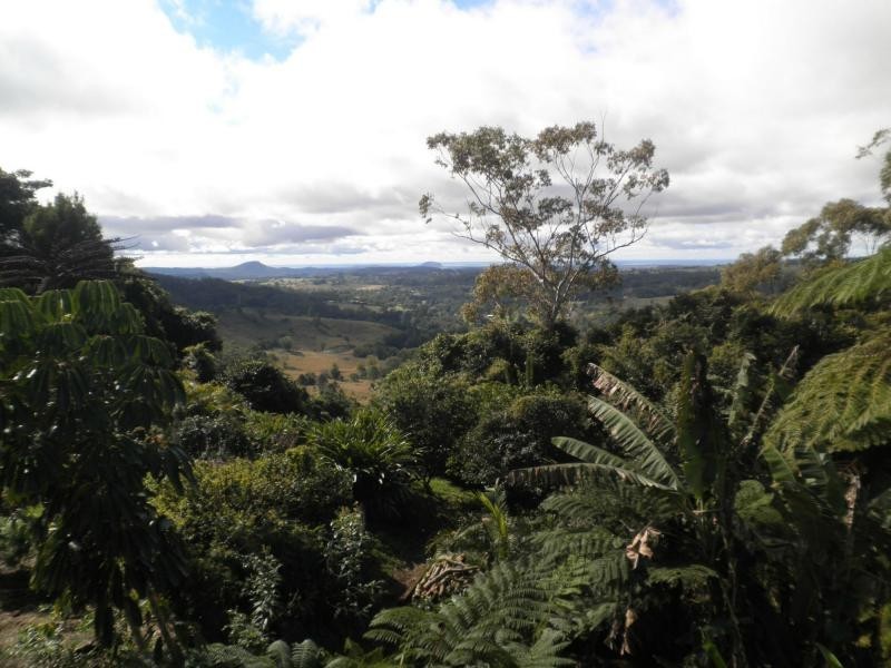 22 Lantana Lane, Mapleton QLD 4560
