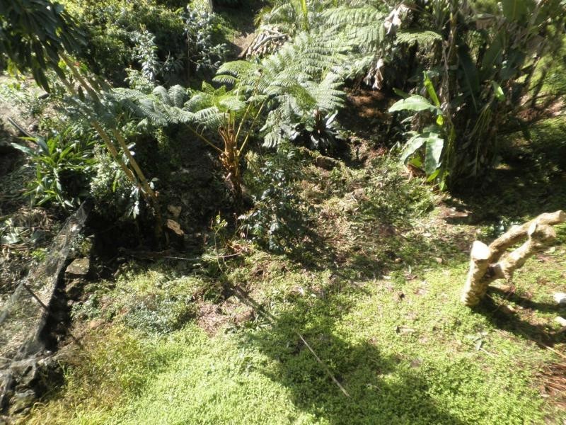 22 Lantana Lane, Mapleton QLD 4560