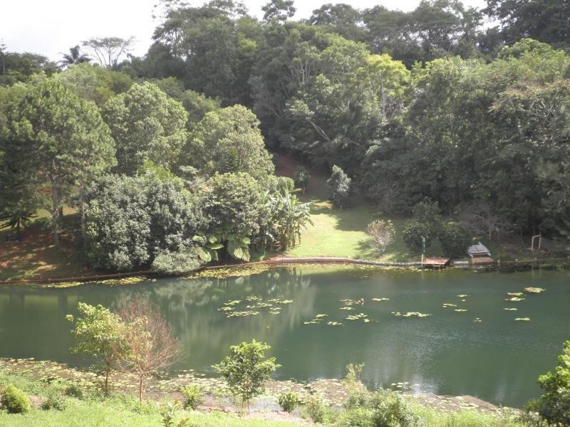 26 Nimbus Drive, Flaxton QLD 4560
