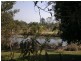 6 Warruga Street, Mapleton QLD 4560