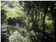 191 Flaxton Drive, Mapleton QLD 4560