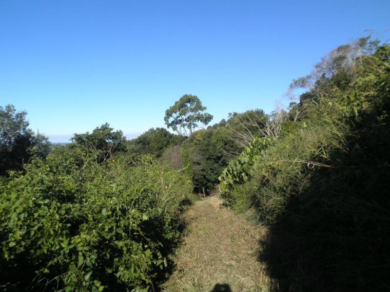 191 Flaxton Drive, Mapleton QLD 4560