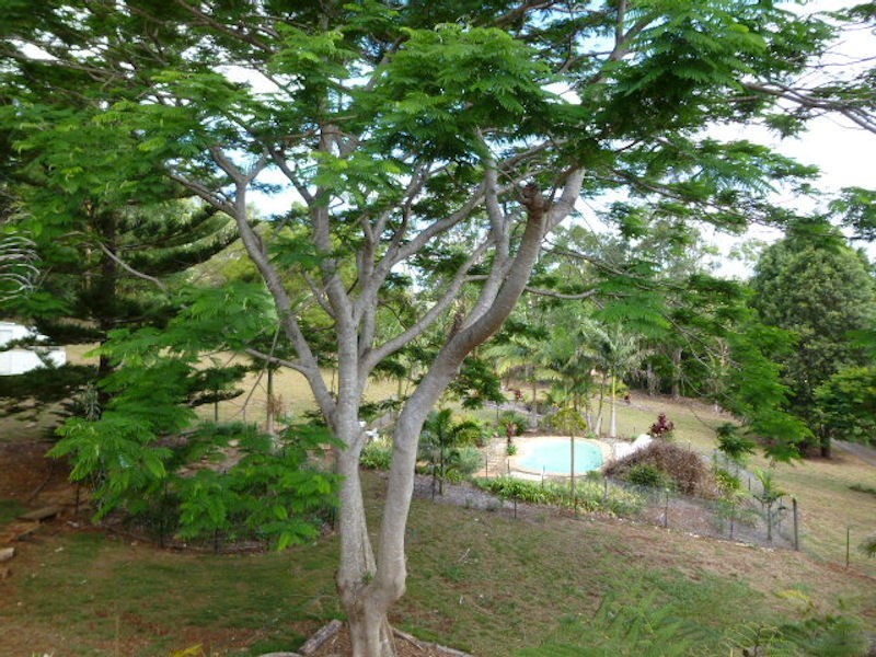 11 Allara Street, Flaxton QLD 4560