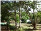 11 Allara Street, Flaxton QLD 4560