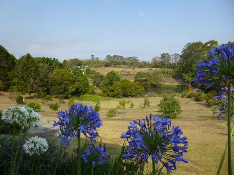 21 Akala Street, Flaxton QLD 4560