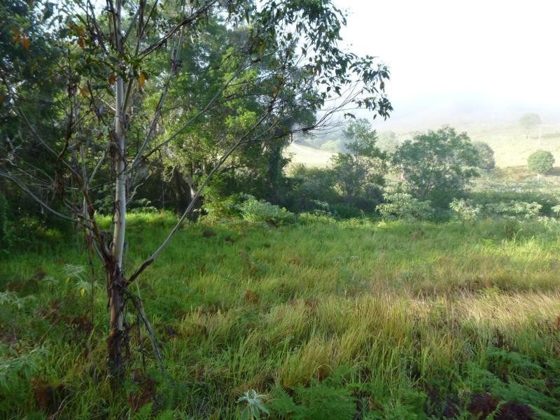 455 Coolabine Road, Coolabine QLD 4574