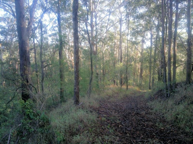 370 Upper Landershute Road, Landers Shoot QLD 4555