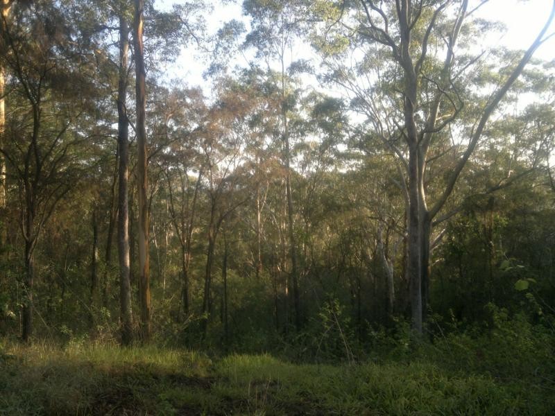 370 Upper Landershute Road, Landers Shoot QLD 4555