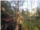 370 Upper Landershute Road, Landers Shoot QLD 4555