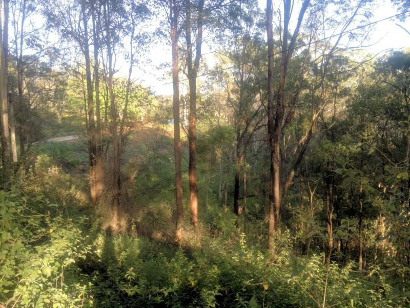 370 Upper Landershute Road, Landers Shoot QLD 4555