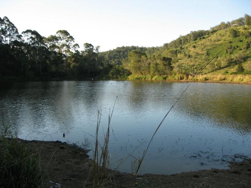 908 Cedar Creek Road, Gheerulla QLD 4574