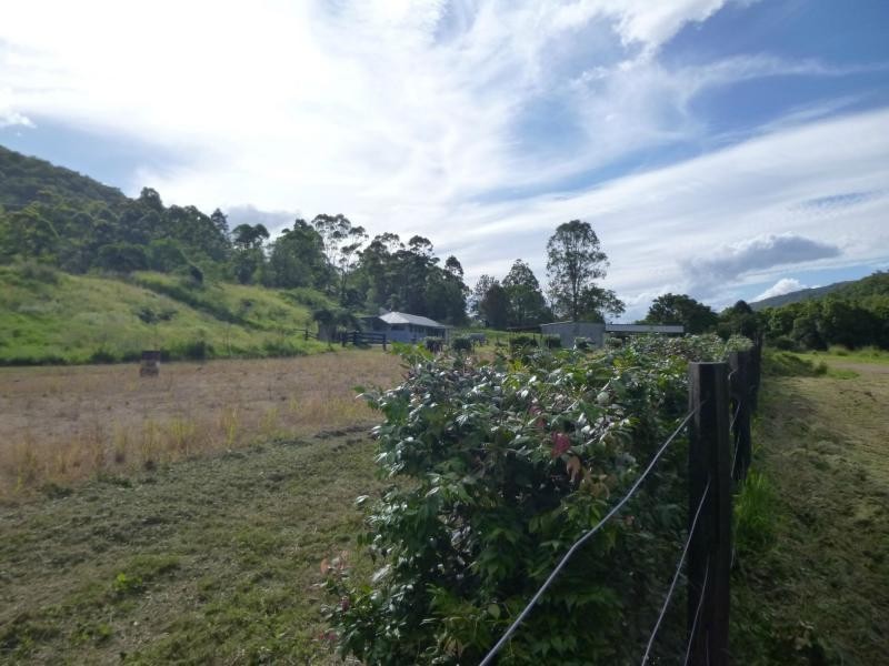 908 Cedar Creek Road, Gheerulla QLD 4574