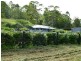 908 Cedar Creek Road, Gheerulla QLD 4574