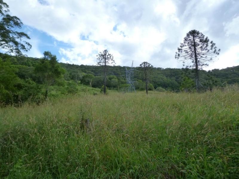 924 Cedar Creek Road, Gheerulla QLD 4574
