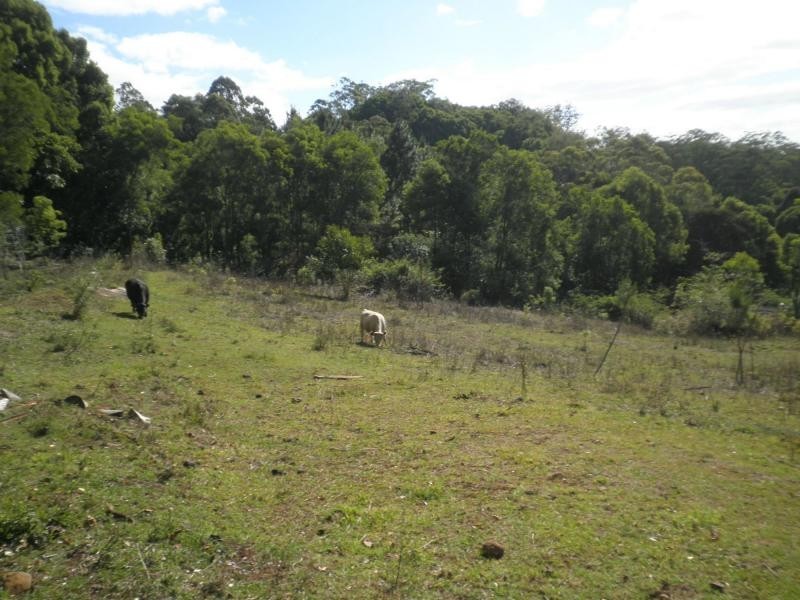 35 Ensbey Road, Flaxton QLD 4560